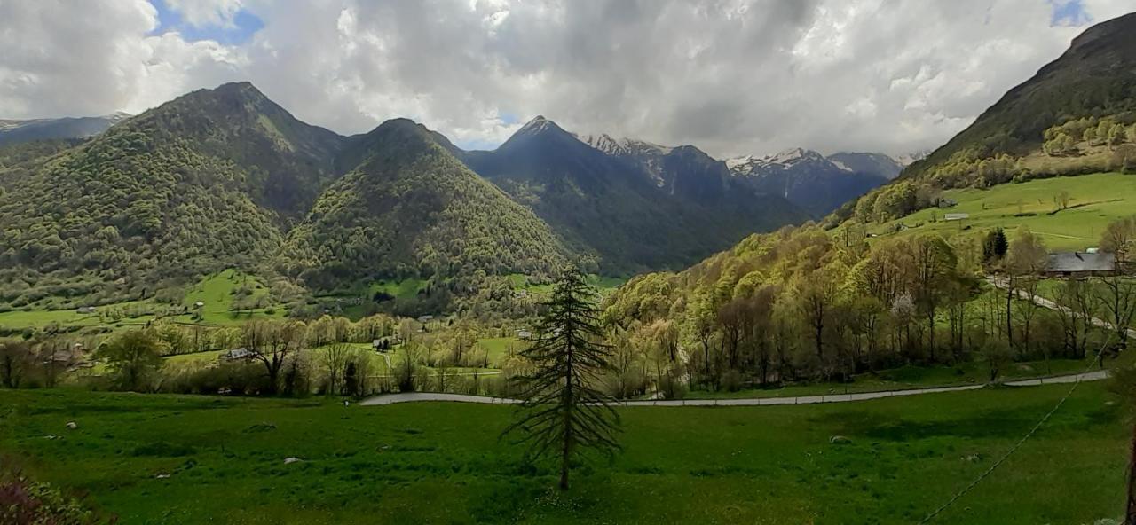 Appartement Habas Estaing Hautes Pyrenees Val D'Azun Esterno foto