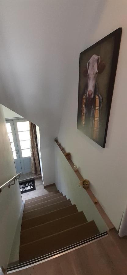 Appartement Habas Estaing Hautes Pyrenees Val D'Azun Esterno foto