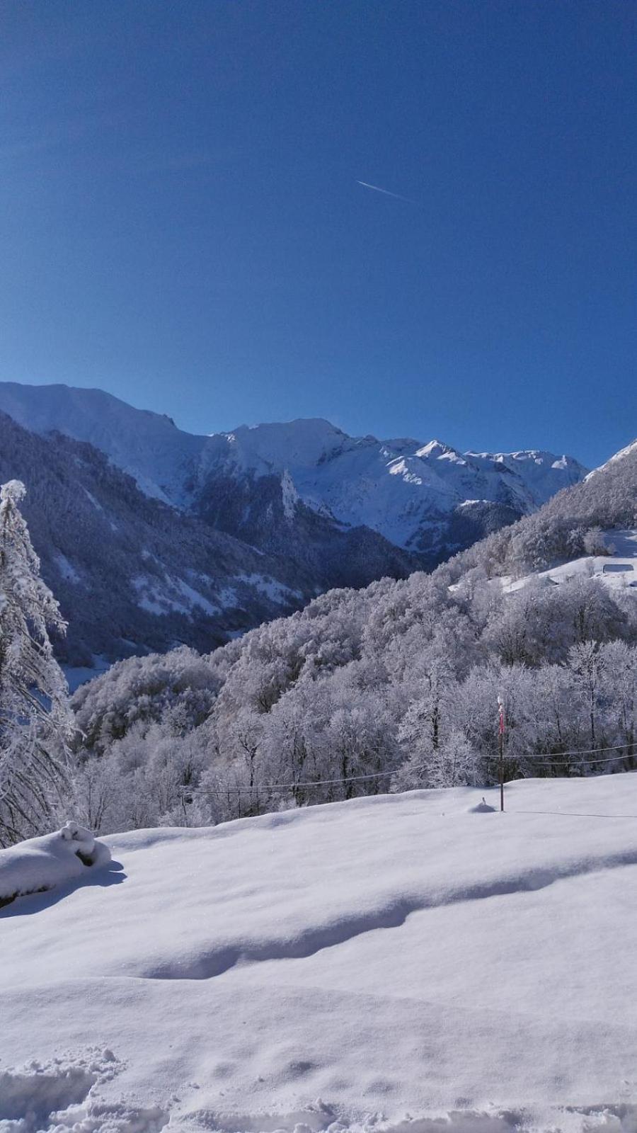 Appartement Habas Estaing Hautes Pyrenees Val D'Azun Esterno foto